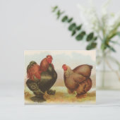 Vintage Briefkaart "Partridge Cochin Chickens" (Staand voorkant)