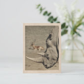 Vintage Briefkaart Rhino (Staand voorkant)