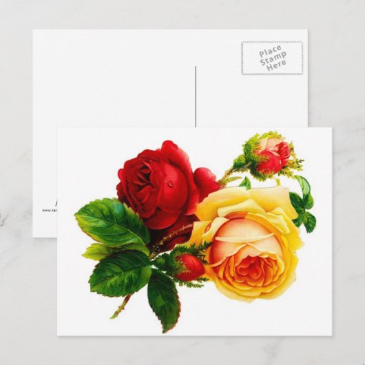 Vintage Briefkaart rode en gele rozen (Voorkant / Achterkant)