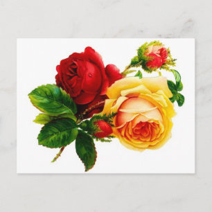 Vintage Briefkaart rode en gele rozen