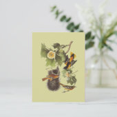 Vintage Briefkaart van de vogelverschrikkerij (Staand voorkant)