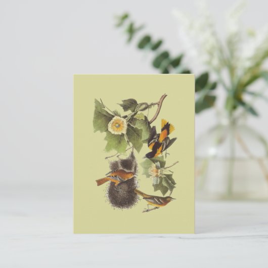 Vintage Briefkaart van de vogelverschrikkerij (Staand voorkant)