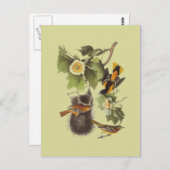 Vintage Briefkaart van de vogelverschrikkerij (Voorkant / Achterkant)