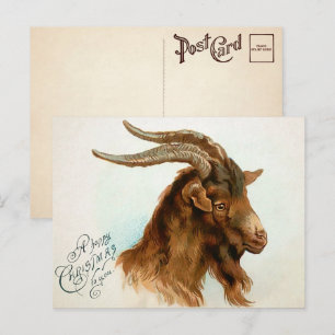 Vintage-Briefkaart voor kerstgeit Briefkaart