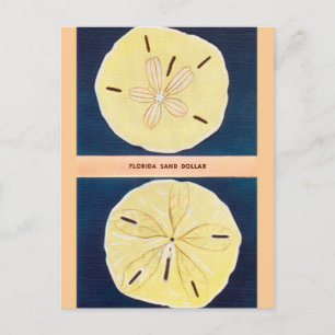 Vintage  Briefkaart voor reizen met een Amerikaans