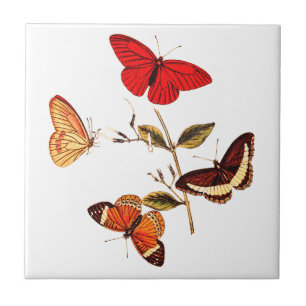 Vintage Britse Rode Vlinders Insecten Kunst Tegeltje