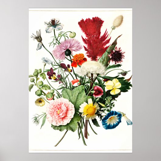 Vintage bundel bloemen afbeelding poster (Voorkant)