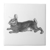 Vintage Bunny Tile Tegeltje (Voorkant)