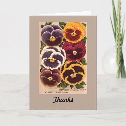 Vintage Burpee Geassorteerde Pansies Bedankkaart (Voorkant)