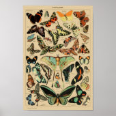 Vintage Butterflies Papillons Poster (Voorkant)