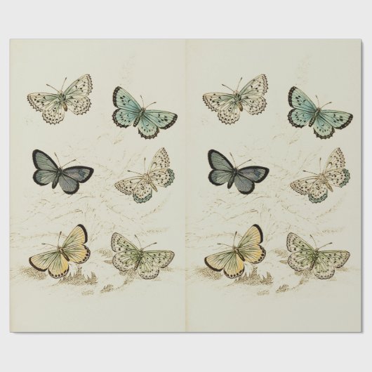Vintage Butterflies Poster Cadeaupapier (Vlak)