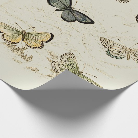 Vintage Butterflies Poster Cadeaupapier (Hoek)