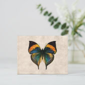 Vintage Butterfly Illustration 1800's Butterflies Briefkaart (Staand voorkant)