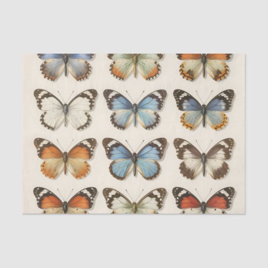 Vintage Butterfly Specimen Collection Tissuepapier (Voorkant)