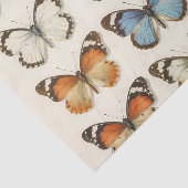 Vintage Butterfly Specimen Collection Tissuepapier (Detail)