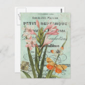 Vintage Butterfy en Lily briefkaart (Voorkant / Achterkant)