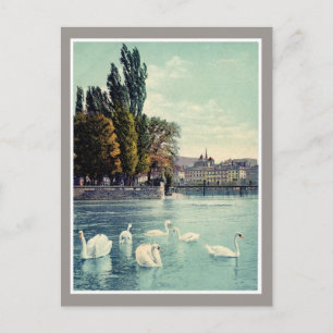 Vintage c. 1900 Genève Zwans bij de Ile Rousseau Briefkaart