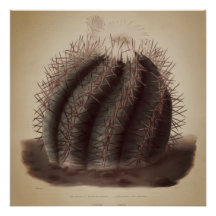 Vintage cactus kunstwerk