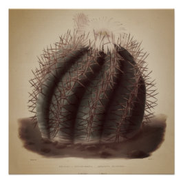 Vintage cactus kunstwerk perfect poster
