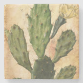 vintage cactus rustic stenen onderzetter (Voorkant)