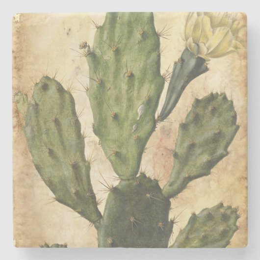 vintage cactus rustic stenen onderzetter (Voorkant)