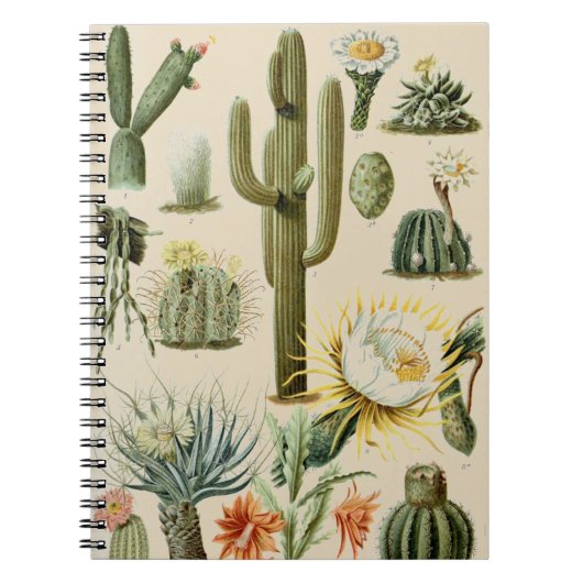 Vintage Cactus | Spiraal Notebook Notitieboek (Voorkant)