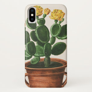 Vintage Cactusbloemen, Succulente Cactiplanten iPhone X Hoesje