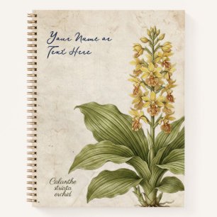 Vintage Calanthe Striata Botanische Fraude Notitieboek
