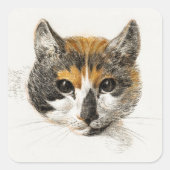Vintage Calico Cat Square Stickers (Voorkant)
