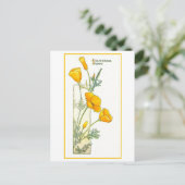 Vintage California Yellow Poppy Postcard Briefkaart (Staand voorkant)