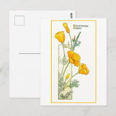 Vintage California Yellow Poppy Postcard Briefkaart (Voorkant / Achterkant)
