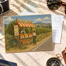 Vintage Californische citrusboomgaard langs de weg