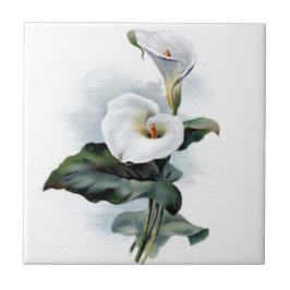 Vintage callalily tegeltje