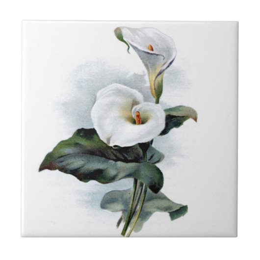 Vintage callalily tegeltje (Voorkant)