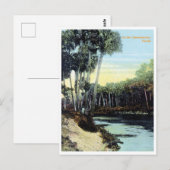 Vintage Caloosahatchee Briefkaart (Voorkant / Achterkant)