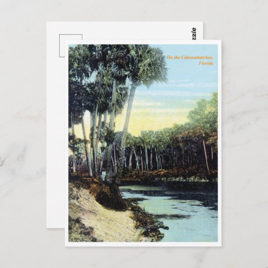 Vintage Caloosahatchee Briefkaart (Voorkant / Achterkant)