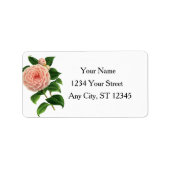Vintage Camellia Botanisch Etiket (Voorkant)