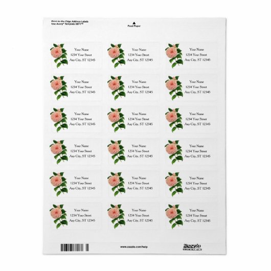 Vintage Camellia Botanisch Etiket (Full Sheet)