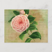 Vintage Camellia French Botanical Briefkaart (Voorkant)