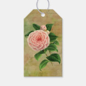 Vintage Camellia French Botanical Cadeaulabel (Voorkant)