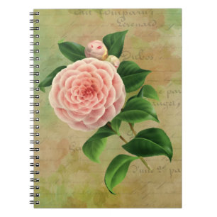 Vintage Camellia French Botanical Notitieboek