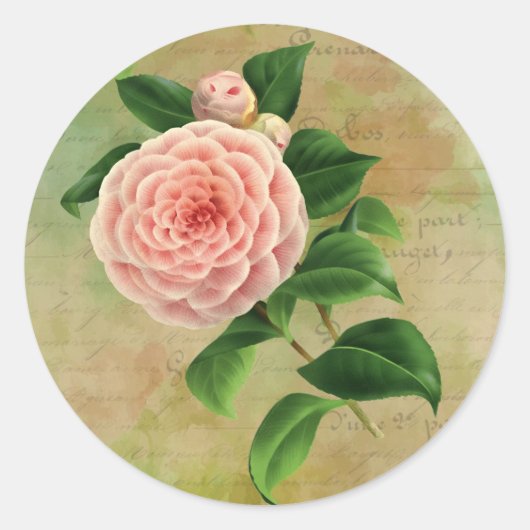 Vintage Camellia French Botanical Ronde Sticker (Voorkant)