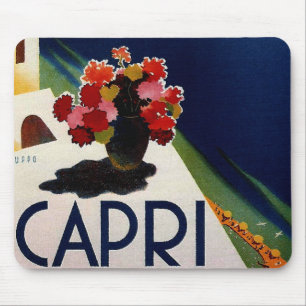 Vintage Capri Italy Travel Muismat