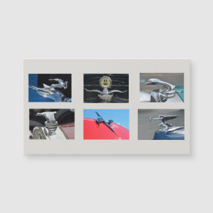 Vintage Car Hood Ornamenten