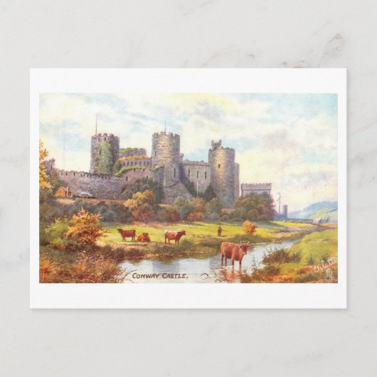 Vintage Castle Conwy  Briefkaart (Voorkant)
