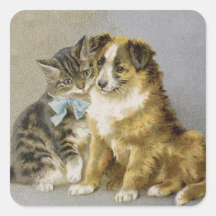 Vintage cat and dog intimate friendship vierkante sticker