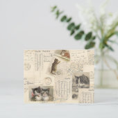Vintage Cat Briefkaart French Kitten (Staand voorkant)
