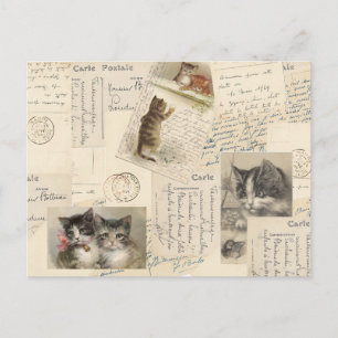 Vintage Cat Briefkaart French Kitten