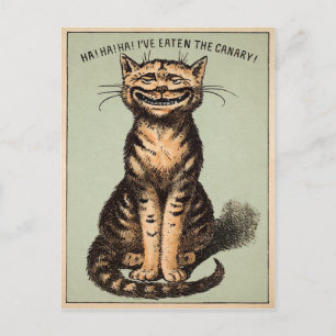 Vintage Cat Canarische Briefkaart