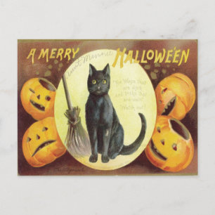 Vintage Cat Halloween Briefkaart
